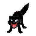 猫 凶猫 黑猫