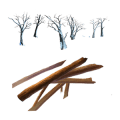 树木 木头