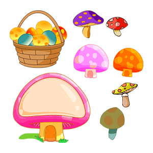 几种蘑菇