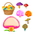 几种蘑菇