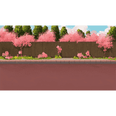 粉红色树的街道