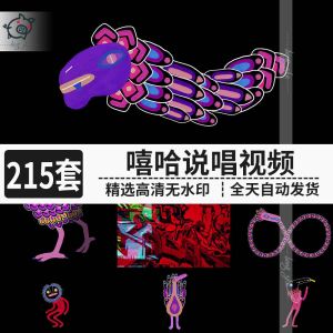 215套嘻哈说唱视频