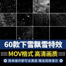 42款下雨下雪特效