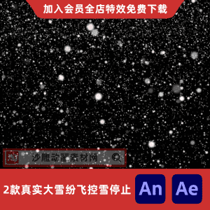 2款真实大雪纷飞控雪停止