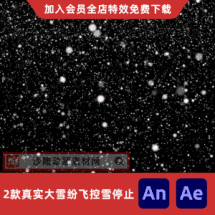 2款真实大雪纷飞控雪停止