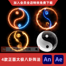 4款正面太极八卦阵法