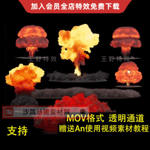 12款氢弹原子弹核弹爆炸