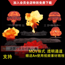12款氢弹原子弹核弹爆炸