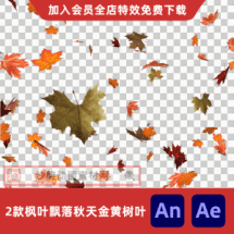 2款枫叶飘落秋天金黄树叶