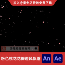 粉色桃花花瓣迎风飘落