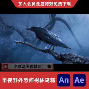 半夜野外恐怖树林乌鸦