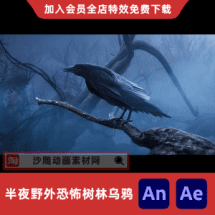 半夜野外恐怖树林乌鸦