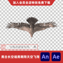 鹰击长空雄鹰翱翔天空飞翔